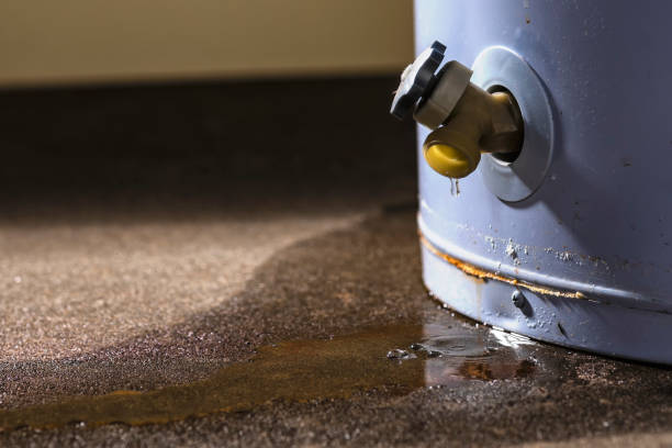 Best 24/7 water damage repair  in Galeville, NY