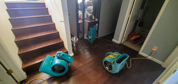 Best Flood restoration services  in Galeville, NY