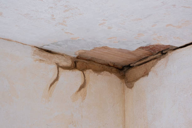 Best Water damage restoration near me  in Galeville, NY