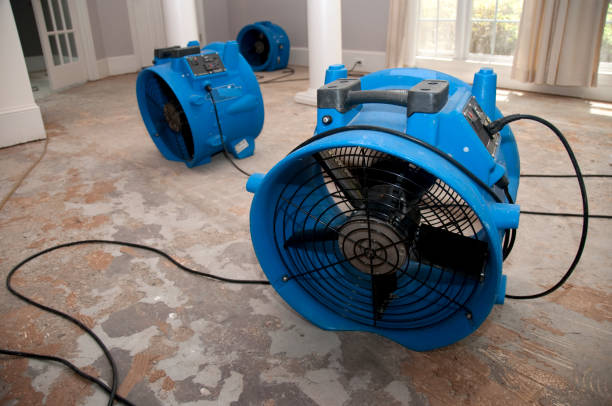 Best Water damage contractors near me  in Galeville, NY