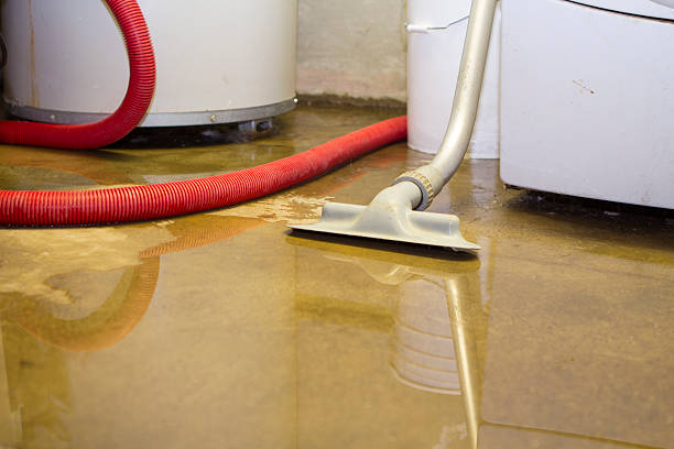 Best Carpet water damage restoration  in Galeville, NY